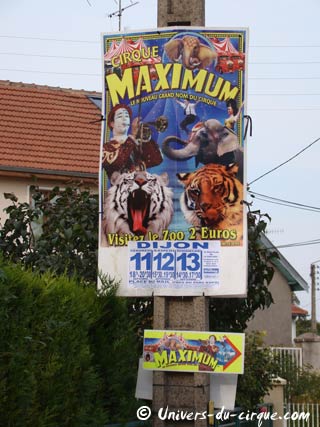 Le cirque Maximum est arrivé à Dijon