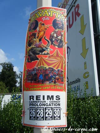 L'actualité du cirque dans la Marne