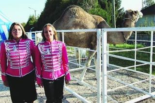 Sabrina Fratellini: un cirque familial en tournée en Normandie