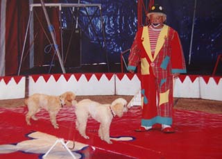 Bon-Encontre: du rêve avec le Cirque Zavatta, aujourd'hui et demain