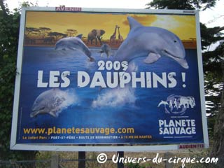 Loire-Atlantique: les dauphins du Parc Planète Sauvage