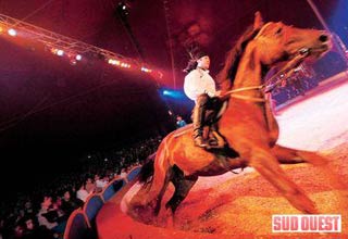 Saint-Paul-lès-Dax: le rêve continue avec le festival européen des artistes de cirque