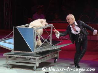 La Grande Fête Lilloise du Cirque se poursuit jusqu'au 15 novembre 2009