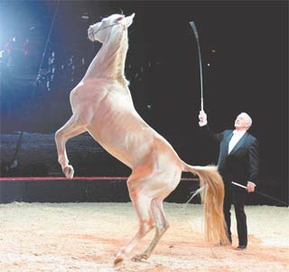 Cirque Alexis Gruss: le nouveau spectacle, Pampa, est dédié à l\““Argentine