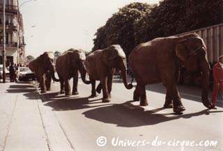 Trentième anniversaire de la première tournée en France de l'American Circus Togni (06)