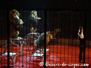 Nouvelle version du site de Tom Dieck Junior