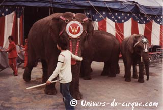 Trentième anniversaire de la première tournée en France de l'American Circus Togni (07)