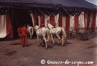 Trentième anniversaire de la première tournée en France de l'American Circus Togni (07)