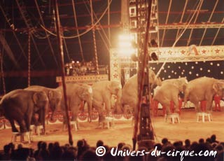 Trentième anniversaire de la première tournée en France de l'American Circus Togni (07)