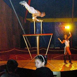 Vitrolles: dans les coulisses du cirque Zavatta
