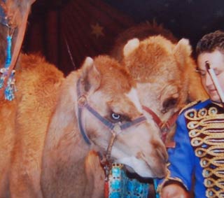 Lepassage: cirque, le retour de Roger Lanzac