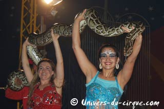 Le cirque Roger Lanzac de retour à Passage d'Agen du 11 au 13 décembre