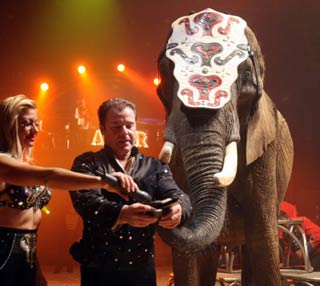 Amar: 85 années de spectacles de cirque