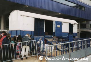 Les cirques d'Allemagne de l'Est (20): le Zirkus Probst (suite)