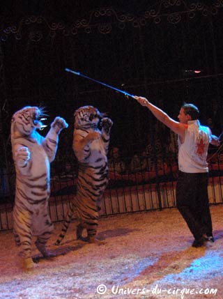 Nol en Cirque à Valence d'Agen du 17 au 20 décembre 2009