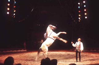 Les Gruss: la dynastie du cirque
