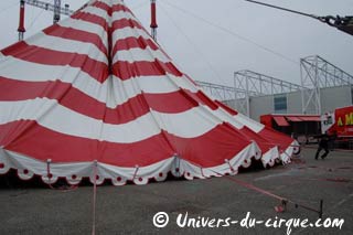 Le cirque Amar à Agen (jusqu'au 07 février) en images