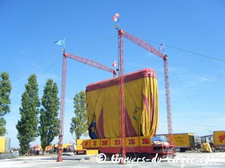 Bilan de l'année 2009 dans les îles du littoral français (07): l'île d'Oléron (suite)