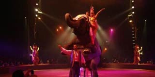 Cirque Arlette Gruss: vive la légende... 