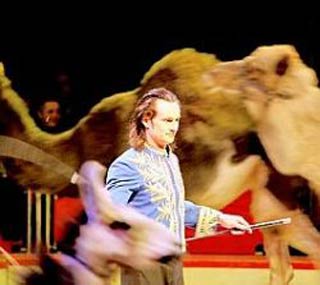 Sin le Noble: le rideau s'est baissé sur la piste du cirque Educatif
