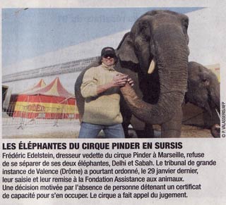 Les éléphantes du cirque Pinder dans les médias Français