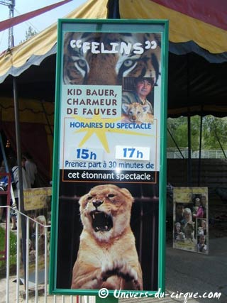 Pas-de-Calais: les fauves de Kid Bauer de retour au parc d'attractions Bagatelle