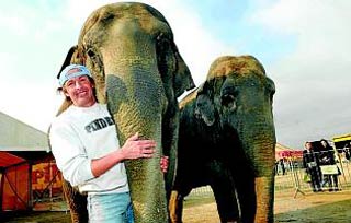 Montpellier: Pinder gardera-t-il ses deux éléphants?