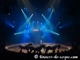 Carnet rose: naissance d'un poulin au sein de la ménagerie du cirque Amar