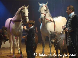 Carnet rose: naissance d'un poulin au sein de la ménagerie du cirque Amar
