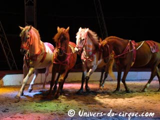 Le cirque Zavatta fils à Epinal du 03 au 07 avril 2010