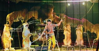 Pinder actuellement à lyon: brillantes étoiles du cirque