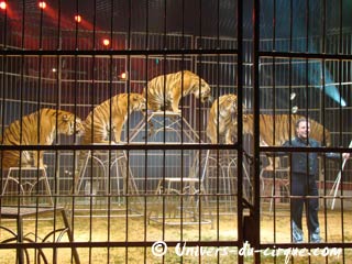 Douai: en trois représentations, le cirque Amar a émerveillé le public douaisien