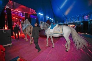 Visite privée du cirque Arlette Gruss à Colmar: le cirque côté zen