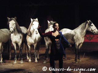 L'un des sites Internet du cirque Diana Moreno-Bormann entièrement relooké