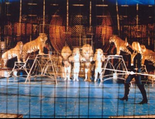 Deux spectacles de cirque présentés au Parc Saint Paul pour la saison 2010