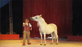 Chagny: soirée féerique avec Médrano