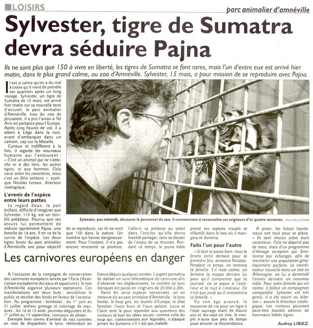 Programme de conservation des tigres de Sumatra lancée par le zoo d'Amnéville