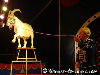 Le cirque de Bercy à Incheville les 10 et 11 août 2010: retour en images
