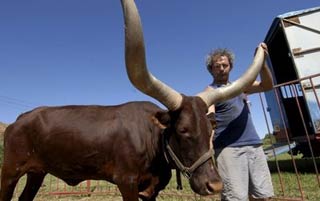Arles: la famille Zavatta plante son chapiteau jusqu'à dimanche