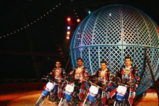 Pyrénées-Atlantiques: une classe internationale avec le cirque Medrano à Anglet du 22 au 24 octobre 2010