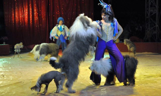 Haute-Garonne: le grand cirque de Saint-Petersbourg fait son show au Zénith de Toulouse