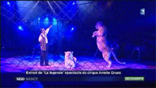 Meurthe-et-Moselle: le cirque Arlette Gruss à Nancy mis à l'honneur sur France 3 Lorraine Champagne Ardenne