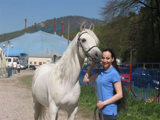 Allemagne: derniers jours de la tournée 2010 du Circus Krone