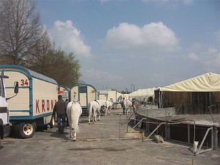 Allemagne: derniers jours de la tournée 2010 du Circus Krone