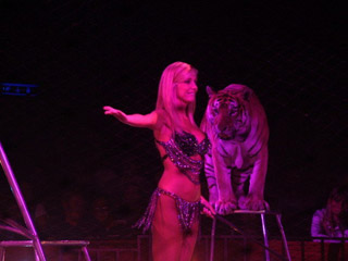 Italie: le Circo Moira Orfei à Milan du 18 novembre au 12 décembre 2010