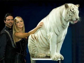 Italie: le Circo Moira Orfei à Milan du 18 novembre au 12 décembre 2010