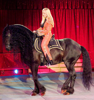 Italie: le Circo Moira Orfei à Milan du 18 novembre au 12 décembre 2010