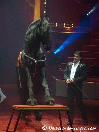 Paris: Joseph Bouglione au programme de 