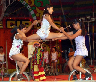 Inde: les sites internet des principaux cirques du pays