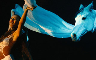 Landes: petite lucarne, grand effet au Festival Européen des Artistes de Cirque à Saint-Paul-les-Dax